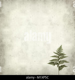 textured old paper background with leather leaf fern Stock Photo