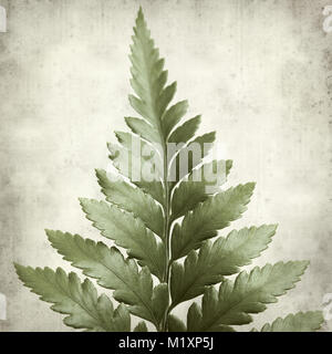 textured old paper background with leather leaf fern Stock Photo