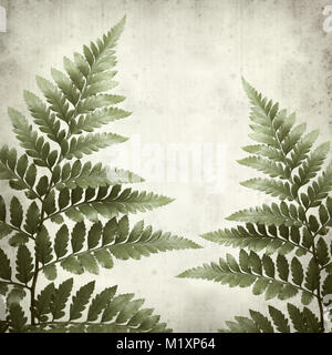 textured old paper background with leather leaf fern Stock Photo