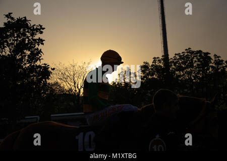 Silhouette of jockey view during the sunset backlit image Stock Photo
