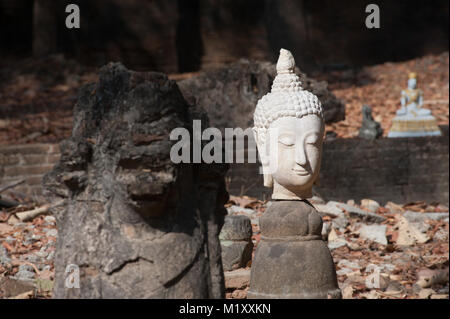 Ancient outdoor Buddhas field of broken sculpture in Wat Umong Suan Puthatham.The temple is a 700 year was built in 1297 in Chiang Mai city, Thailand. Stock Photo