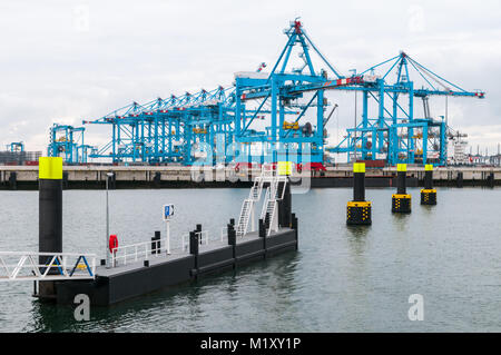 MAASVLAKTE, PORT OF ROTTERDAM, THE NETHERLANDS - DECEMBER 9, 2014: The newly built and fully automated APM container terminals at the Maasvlakte in th Stock Photo