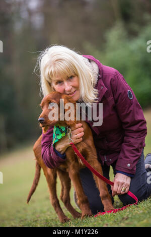 Irish setter puppy, 18 weeks old, in a park, being held by woman owner smiling Stock Photo