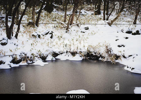 Hiking Mount Hallasan, the highest peak in Korea after a snow storm the night before. Stock Photo