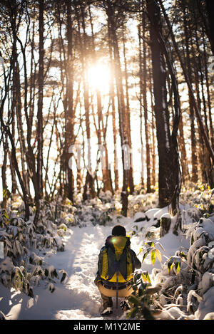 Hiking Mount Hallasan, the highest peak in Korea after a snow storm the night before. Stock Photo