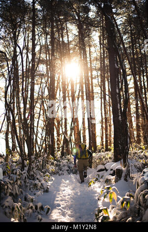 Hiking Mount Hallasan, the highest peak in Korea after a snow storm the night before. Stock Photo