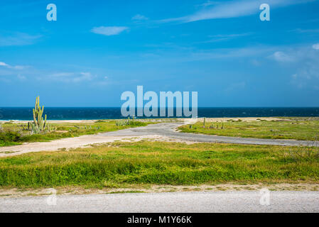 View of the arid nature of Aruba. Tropical landscape. Stock Photo