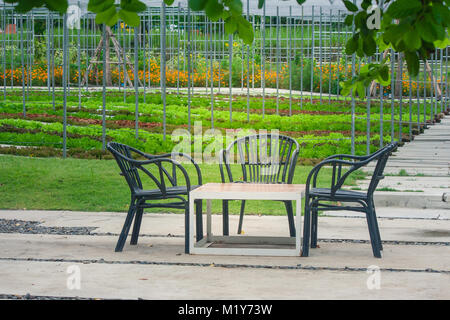 Three black wooden chair and one table setting on concrete floor at beautiful outdoor garden with green natural background. Stock Photo