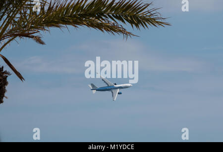 Turn the Tide on Plastic plane flying before Volvo Ocean Race 2017-18 start.  Solo jumbo against a blue sky with palm frond. Stock Photo