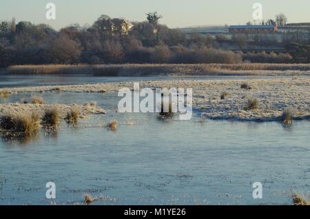 Frozen Water Meadow Pond on a Sunny Winters Morning. Bowling Green Marsh RSPB Nature Reserve, Topsham, Devon, UK. December, 2014. Stock Photo