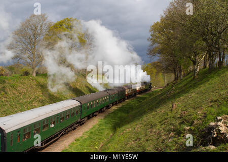 The Flying Scotsman making her way through the beautiful East Sussex countryside, on the bluebell railway, as part of her round Britain tour 2016 Stock Photo