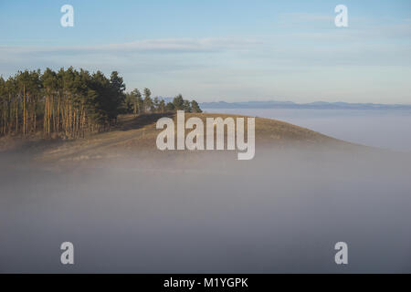 Pine covered hilltop rising above a sea of fog in the Carpathian mountains of Transylvania Stock Photo