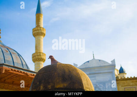 flock of pigeons and doves flying over the domes and roof of the friday mosque in the heart of old Stock Photo