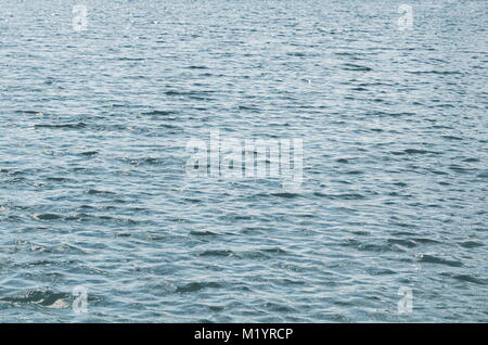 Wavy Lake Water Surface on a Summer Day Stock Photo