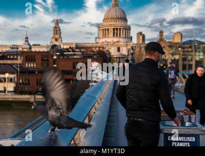 People and pigeon on Millennium Bridge with St Paul's Cathedral in background, London, UK Stock Photo