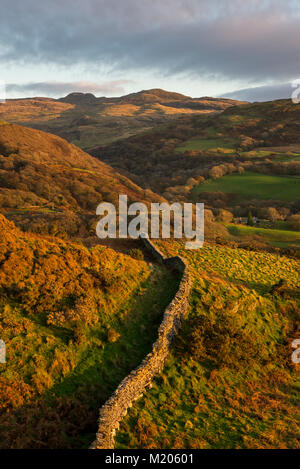 Stone wall on a hillside near Harlech in North Wales bathed in the warm sunlight of an autumn evening. The Rhinogs in the distance. Stock Photo