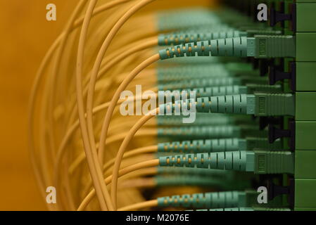 Optical distribution panels with fiber optical cable Stock Photo