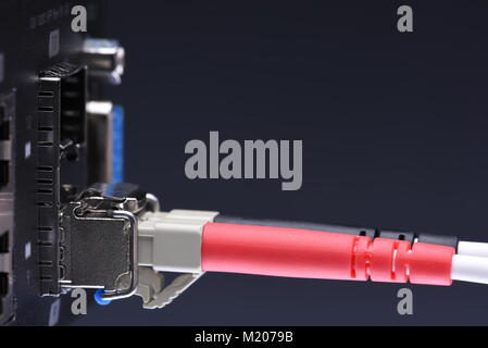 Network devices technology, optical fiber cable and switch, close-up on black background Stock Photo