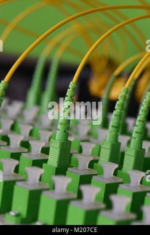 Optical distribution panels with fiber optical cable Stock Photo
