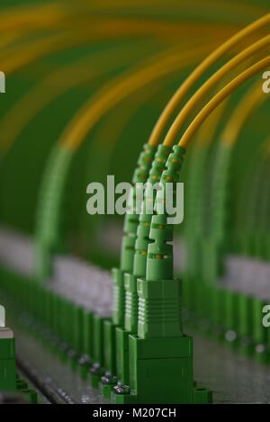 Optical distribution panels with fiber optical cable Stock Photo