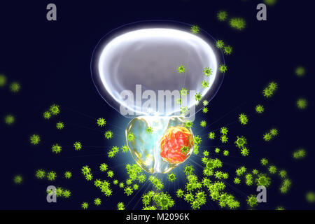 Viral etiology of prostate cancer. Conceptual illustration showing viruses infecting prostate gland and causing cancer development. Stock Photo