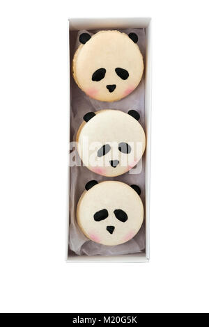 Three panda macarons in a box Stock Photo