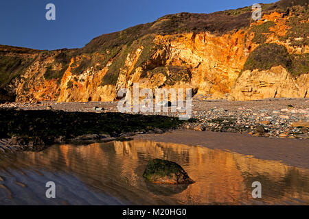 Golden cliffs and sand at Church Bay, Anglesey, Wales in summer sunshine under blue skies Stock Photo