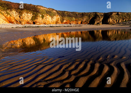 Golden cliffs and sand at Church Bay, Anglesey, Wales in summer sunshine under blue skies Stock Photo