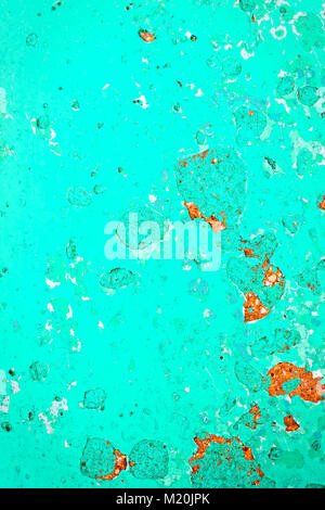 Blue green texture concrete Stock Photo