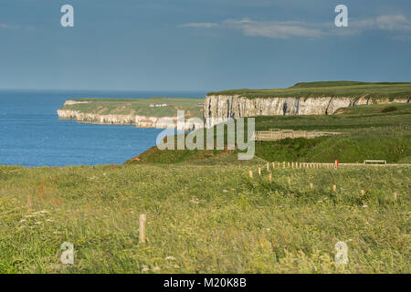 Scenic cliff-top coastal view from Bempton Cliffs RSPB reserve, of blue sky, North Sea & towering chalk headlands & cliffs - East Yorkshire, England. Stock Photo