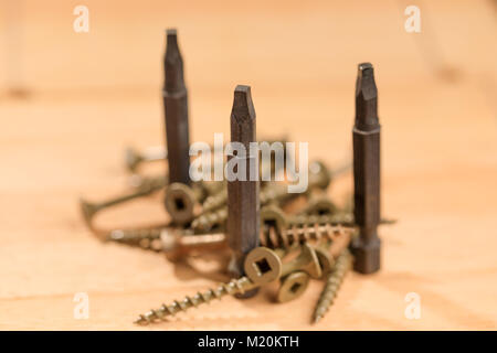 Bits for screwdrivers along with several screws placed on a wooden board. Set of heads for screwdriver (bits). Tools collection of drywall screws. Stock Photo