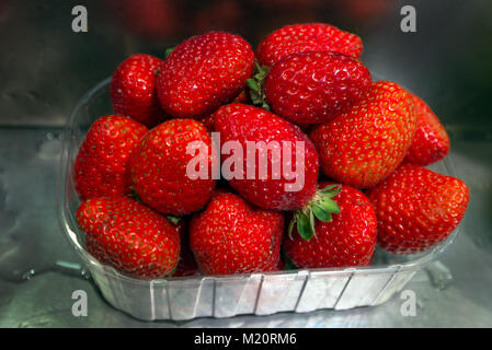 Europe, Spain, Barcelona. Clear plastic tray with freshly picked strawberries in the market. Stock Photo