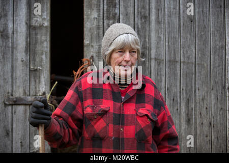Rosamund Young, author of 'The Secret Life of Cows', photographed on Kites Nest Farm, where she breeds free-range cattle, Cotswolds, England, UK Stock Photo