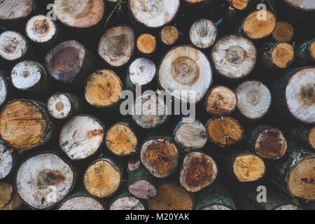 A close up shot of a pile of wet cut logs showing the cut ends of the stacked logs. Stock Photo
