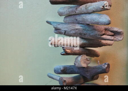 Small wood stems that is attached to each other. Stock Photo