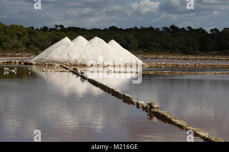 Campos, Balearic Islands, Spain. 3rd Feb, 2018. Solar salt works are man-made systems exploited for the extraction of salt, by solar and wind evaporation of seawater. Salt production achieved by traditional methods is associated with landscapes and environmental and patrimonial values generated throughout history.Around 15,000 tones of salt is harvested each year in the south east of Mallorca, in Salines of Colonia Saint Jordi. Man-made salt lakes are formed by pumping sea water from Es Trenc (purified in-route) where salt crusts in hot and windy conditions. Some of these crusts are us Stock Photo