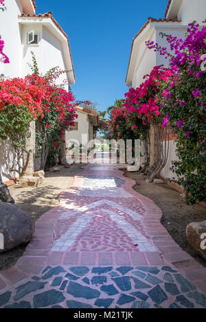 Beautiful walkways at the Los Cabos Golf Resort in Cabo San Lucas, Mexico Stock Photo
