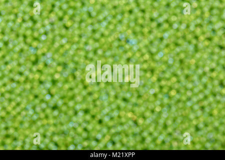 Defocused green lights. Stock Photo