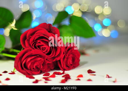 Three roses (Rosa rubiginosa) in a row on the white tablecloth between hearts, yellow and blue lights. Stock Photo