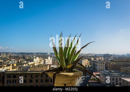 View of the blue roman sky and city through a window with a plant in the first plane Stock Photo