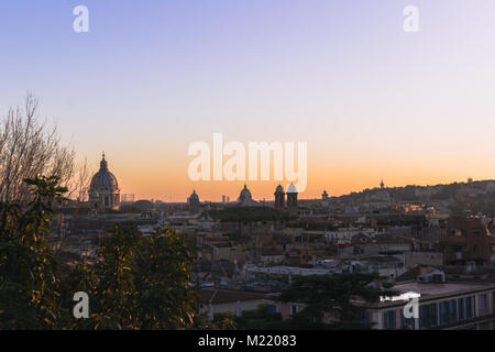 View of Rome at the end of the afternoon wit some plants in the first plane. Stock Photo