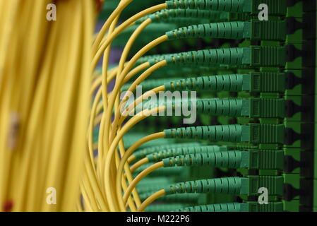 Fiber optical cables with connectors type SC-APC single mode in data center Stock Photo