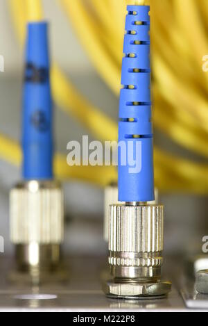 Optic fiber cables on distribution panel in data center Stock Photo