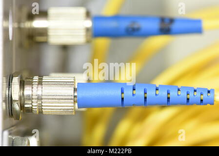 Optic fiber cables on distribution panel in data center Stock Photo