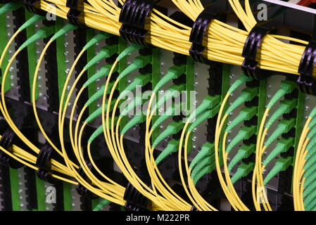 Fiber optical cables with connectors type SC-APC single mode in data center Stock Photo