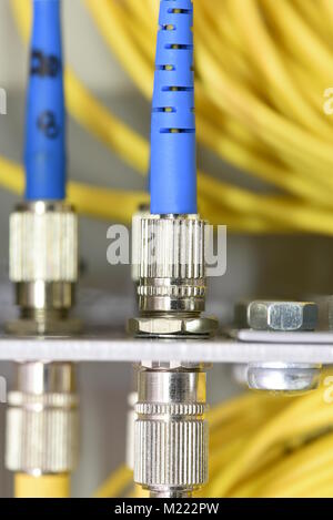 Optic fiber cables on distribution panel in data center Stock Photo