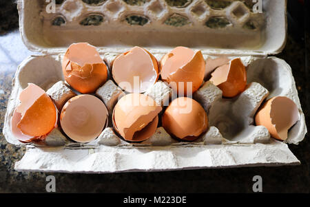 Broken egg shells from eggs used for cooking in paper mache egg carton on marble countertop Stock Photo