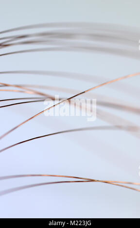 macro image fine gauge copper wires Stock Photo