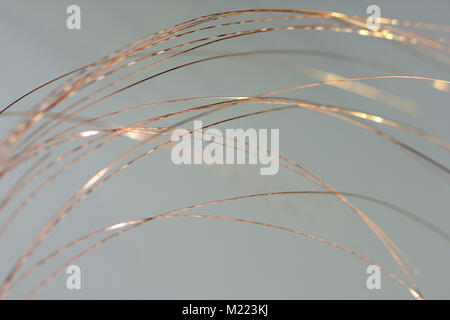 macro image fine gauge copper wires Stock Photo