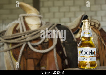 Modelo especial hi-res stock photography and images - Alamy